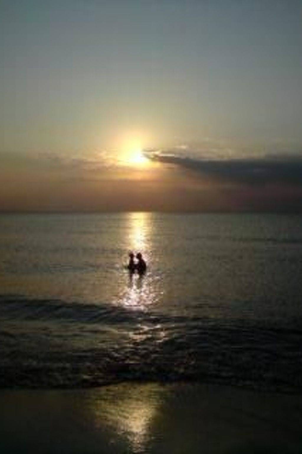 Apartamento entero, 1 Raum Graal-Müritz in Graal-Müritz, Rostock y sus alrededores