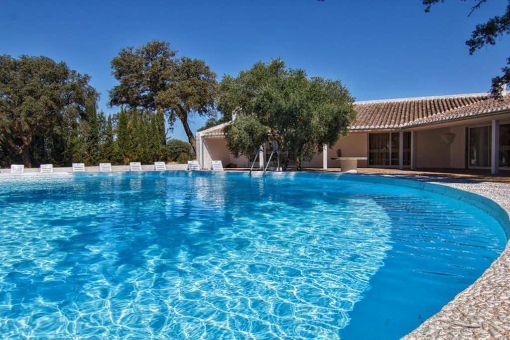 Seven-Bedroom House in Daimiel, Provincia de Ciudad Real