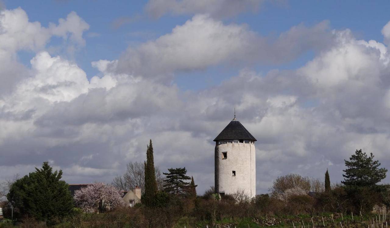 Duplex Apartment in Rochefort-sur-Loire, Vallée de la Loire