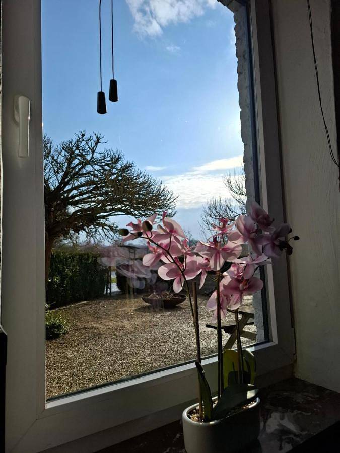 Location de vacances pour 20 personnes, avec jardin et jacuzzi à Renaix - 4