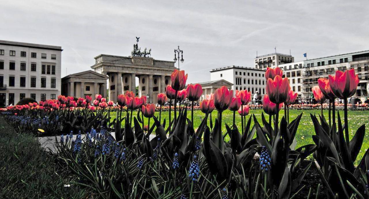Bnb Potsdamer Platz in Brandenburger Tor, Berlin