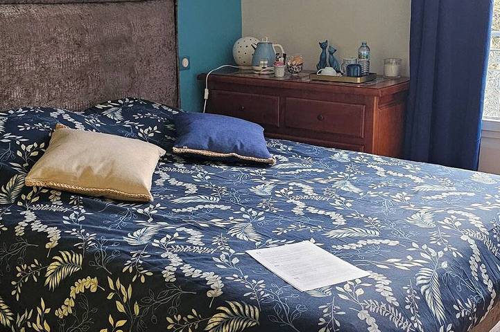 Chambre d’hôte pour 4 personnes, avec jardin dans Seine-Saint-Denis - 2