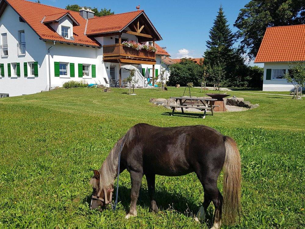 Ferienhof Settele - Albert in Bad Wörishofen, Bayerisch Schwaben