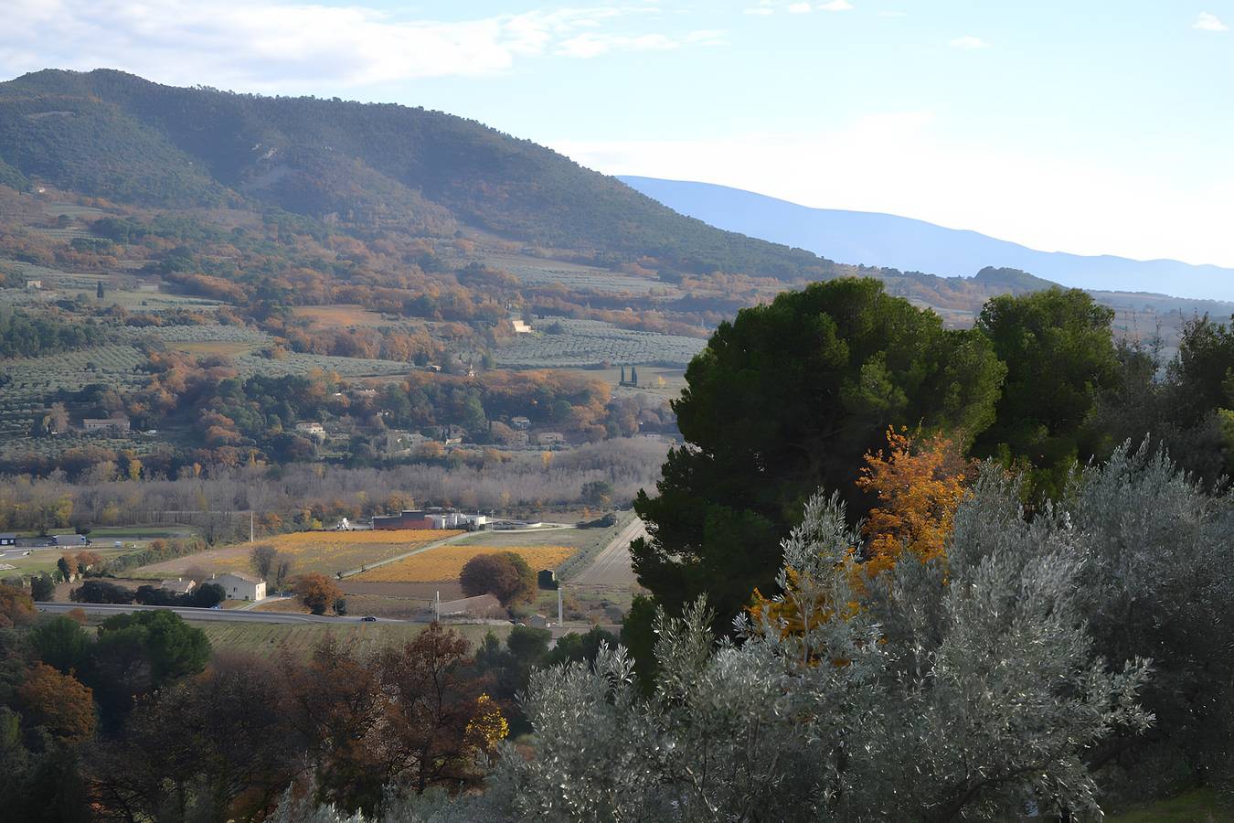 Ganze Wohnung, Ferienwohnung „Gîte Des Lavandes“ mit Bergblick und Wlan in Nyons, Nyons und Umgebung