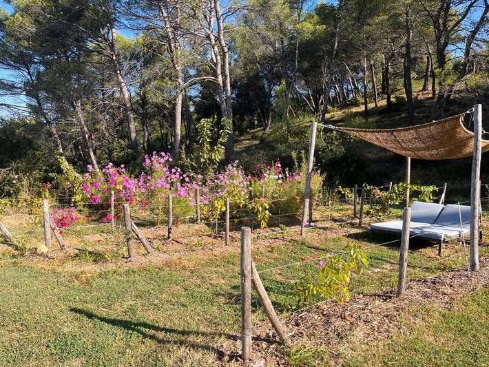 Maison d’hôte pour 6 personnes, avec Jacuzzi et Terrasse ainsi que Jardin et Piscine à Rognes - 3