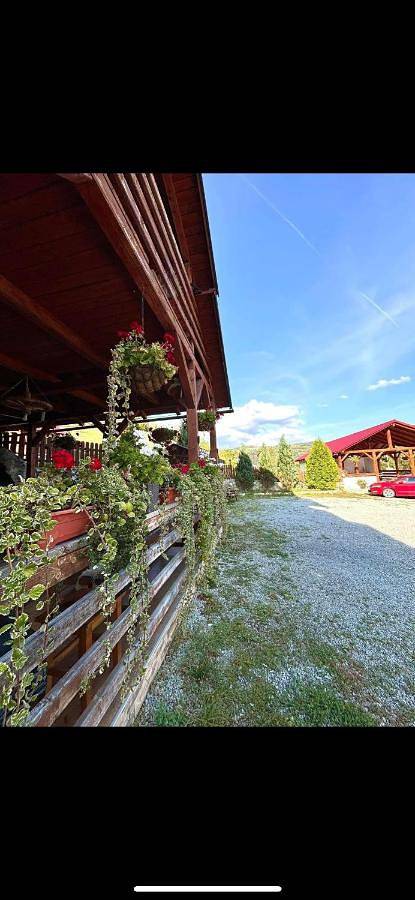 Maison d’hôte pour 2 personnes, avec jardin ainsi que vue et terrasse, animaux acceptés à Alba (Romania) - 2