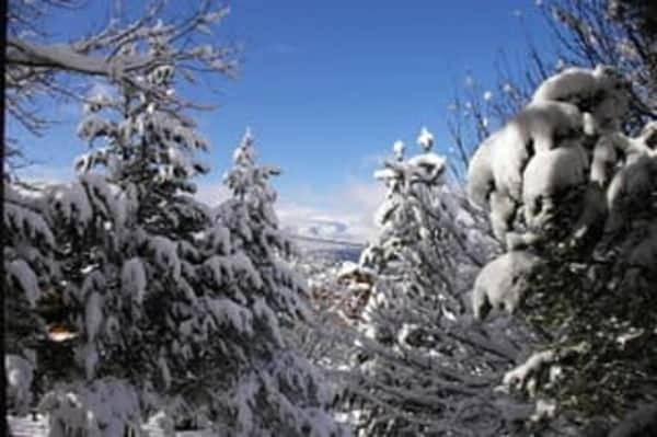 Gîte pour 8 personnes, avec jardin, animaux acceptés à Eyne - 2