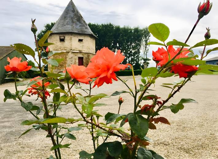 Chambre d’hôte pour 5 personnes en Picardie - 2