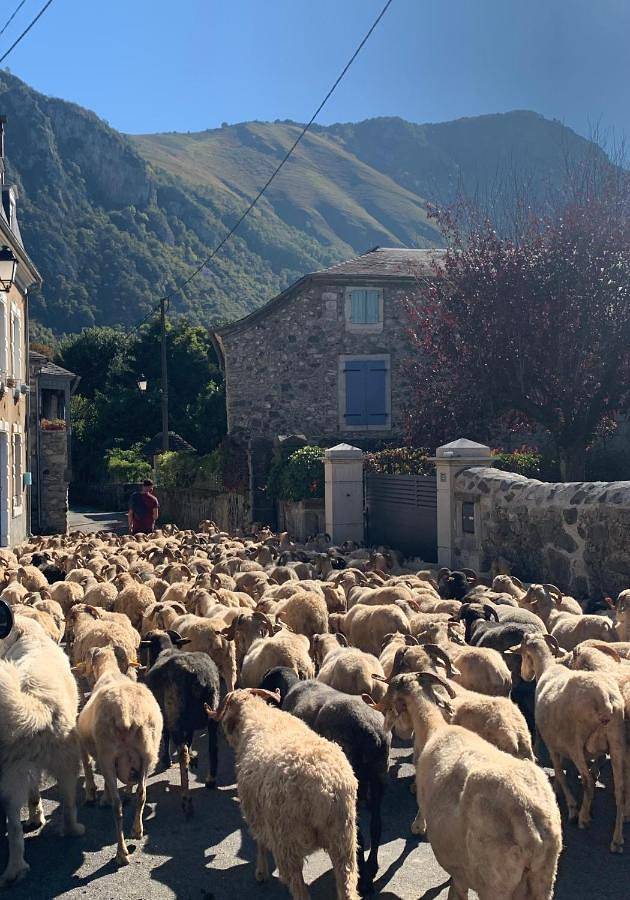 Appartement entier, La Suite Unique - Le jardin sur les Pyrénées- vue panoramique montagne -jardin clôturé privé de 100m2-Parking-Linge de lit et serviettes compris- in Bielle (Pyrénées-Atlantiques), Béarn