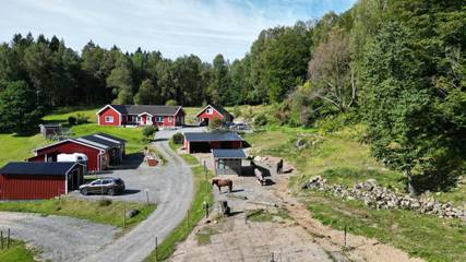 Gîte pour 2 personnes, avec vue et terrasse, animaux acceptés à Kungsbacka