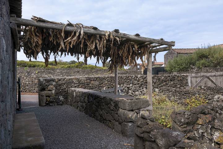 Ferienhaus für 4 Personen, mit Garten auf Pico (Azoren) - 2