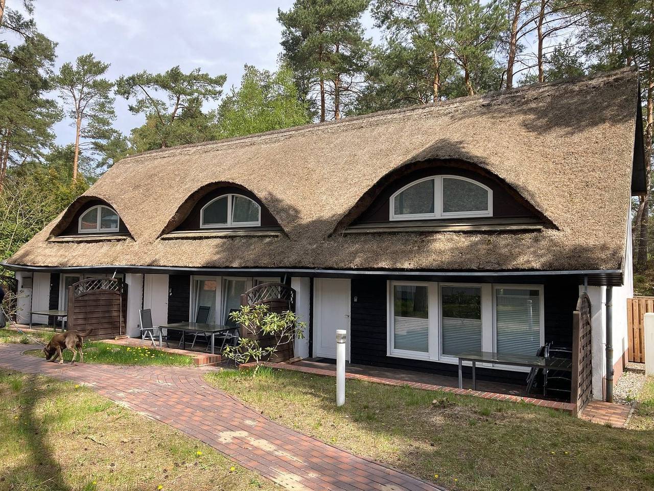 Inselglück unter Reet 100 m zum Strand - Garten & Privatterrasse in Ostseebad Karlshagen, Karlshagen