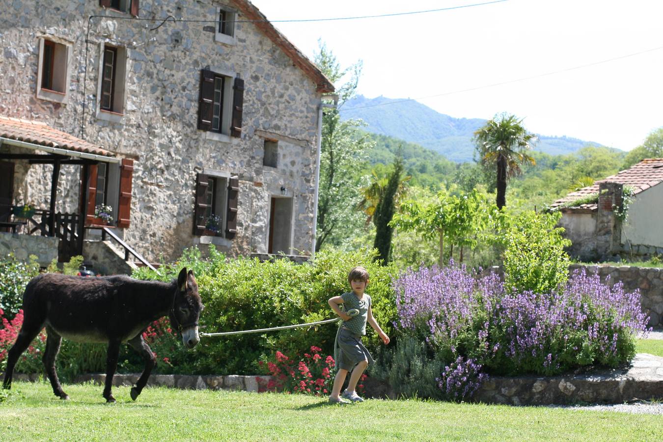 Appartement entier, Mas Manyaques - La Bergerie in Le Tech, Région de Céret