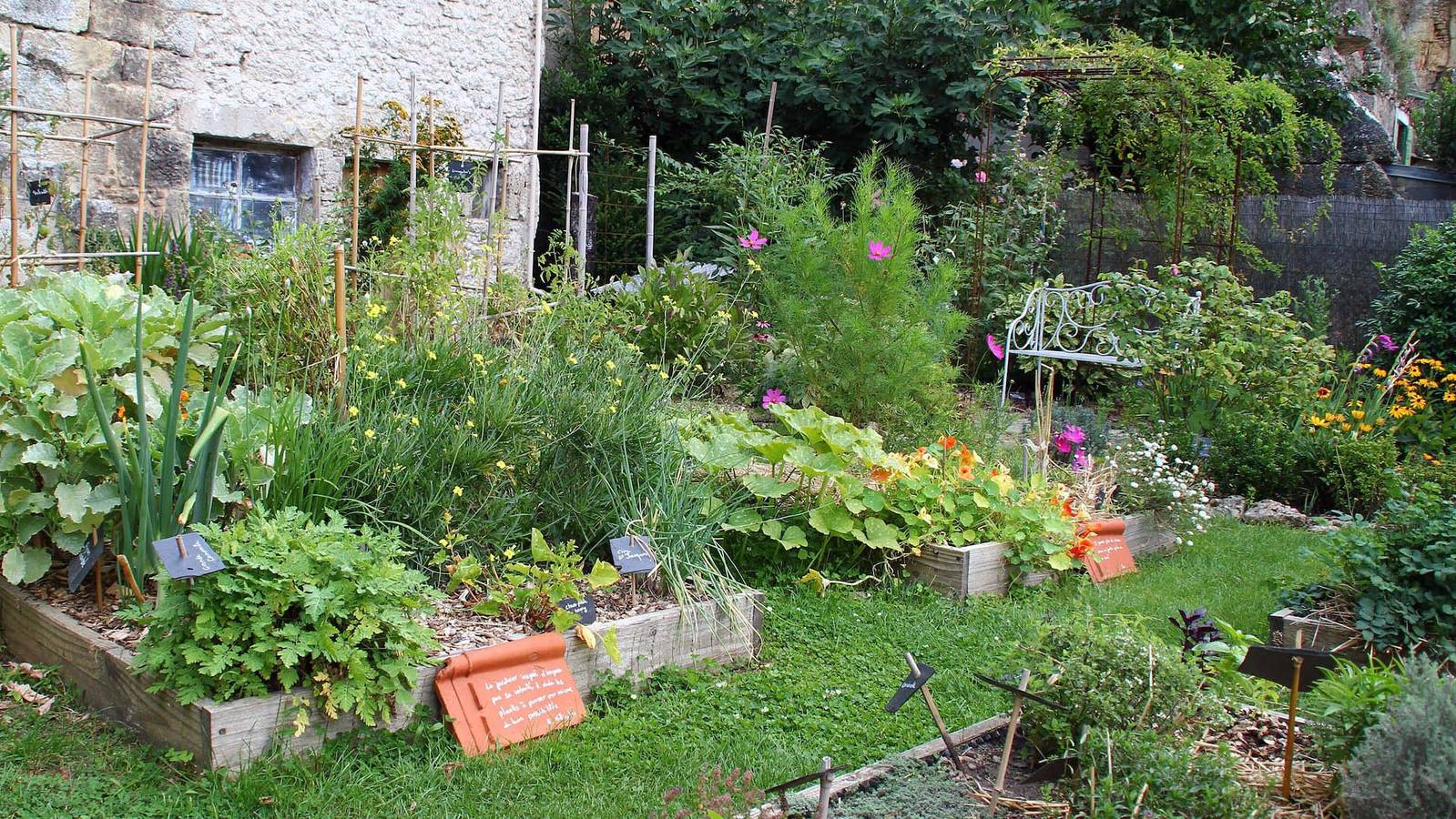 Clos des Moulins, chambres d'hôtes et jardin - Agastache in Poitiers, Vienne (France)