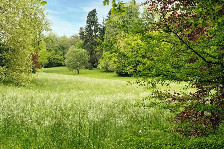 Hôtel pour 3 personnes à Montferrand - 4