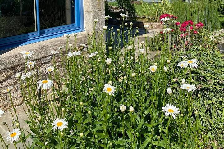 Location de vacances pour 10 personnes, avec Jacuzzi dans Le Puy-Saint-Bonnet - 4