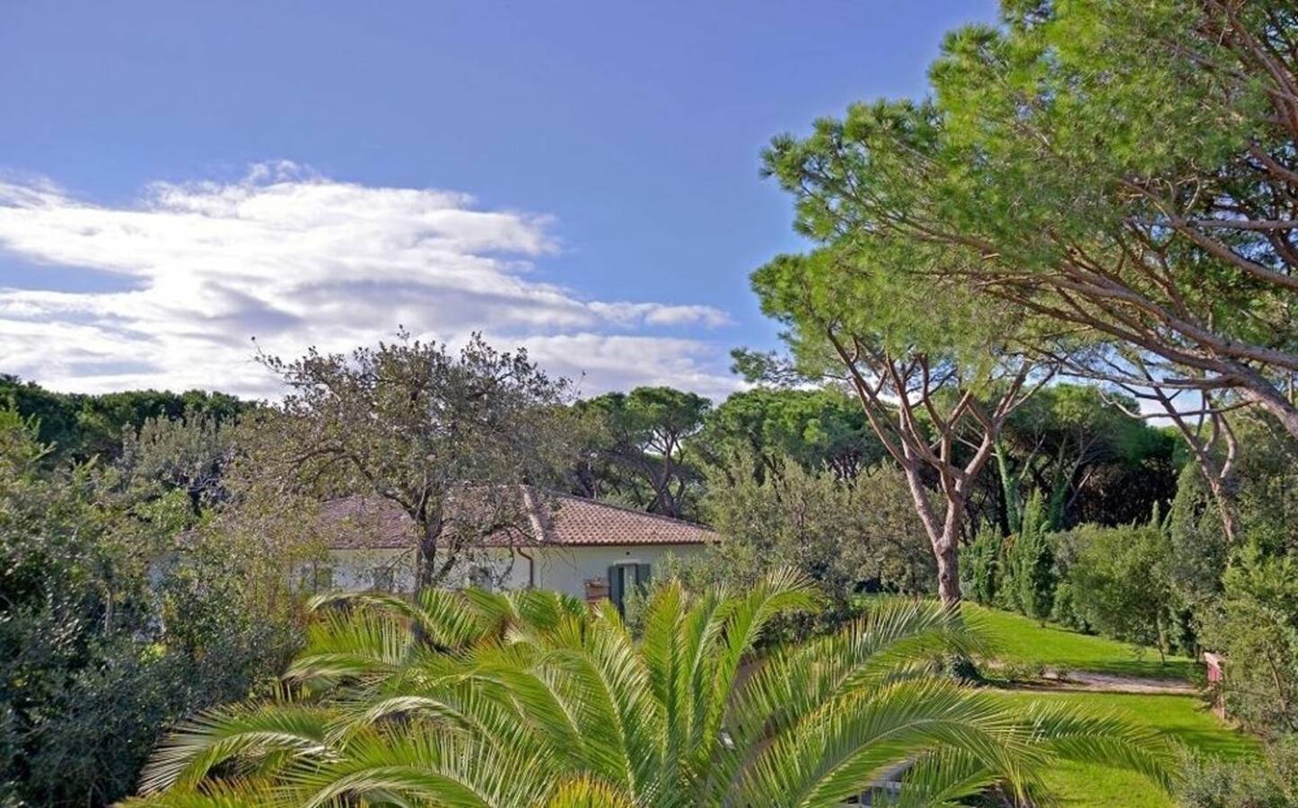 Beach Front Casa Verde in Marina di Bibbona, Bibbona