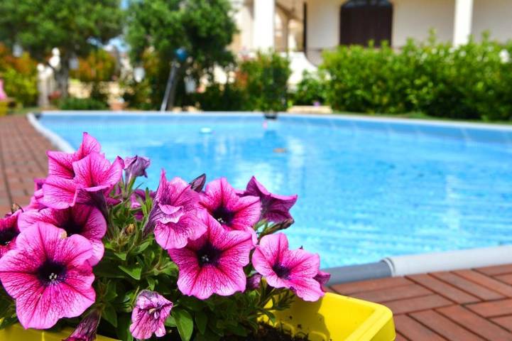 Maison d’hôte pour 3 personnes, avec Terrasse et Jacuzzi ainsi que Jardin et Piscine