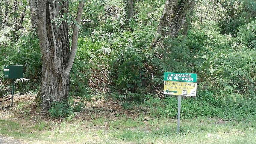 Chambre d’hôte pour 2 personnes, avec jardin ainsi que vue et piscine, animaux acceptés dans les Landes - 3
