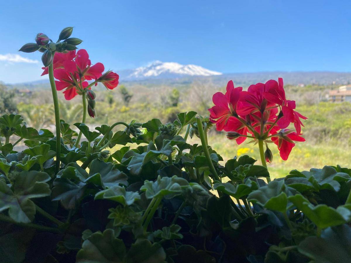 Double or Twin Room in Mascali, Province de Catania