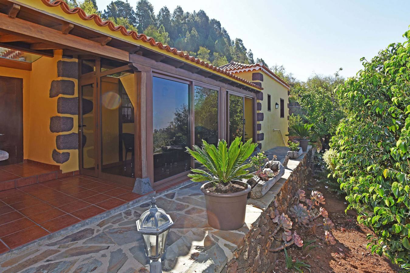 Finca El Rodadero in Fagundo, Puntagorda