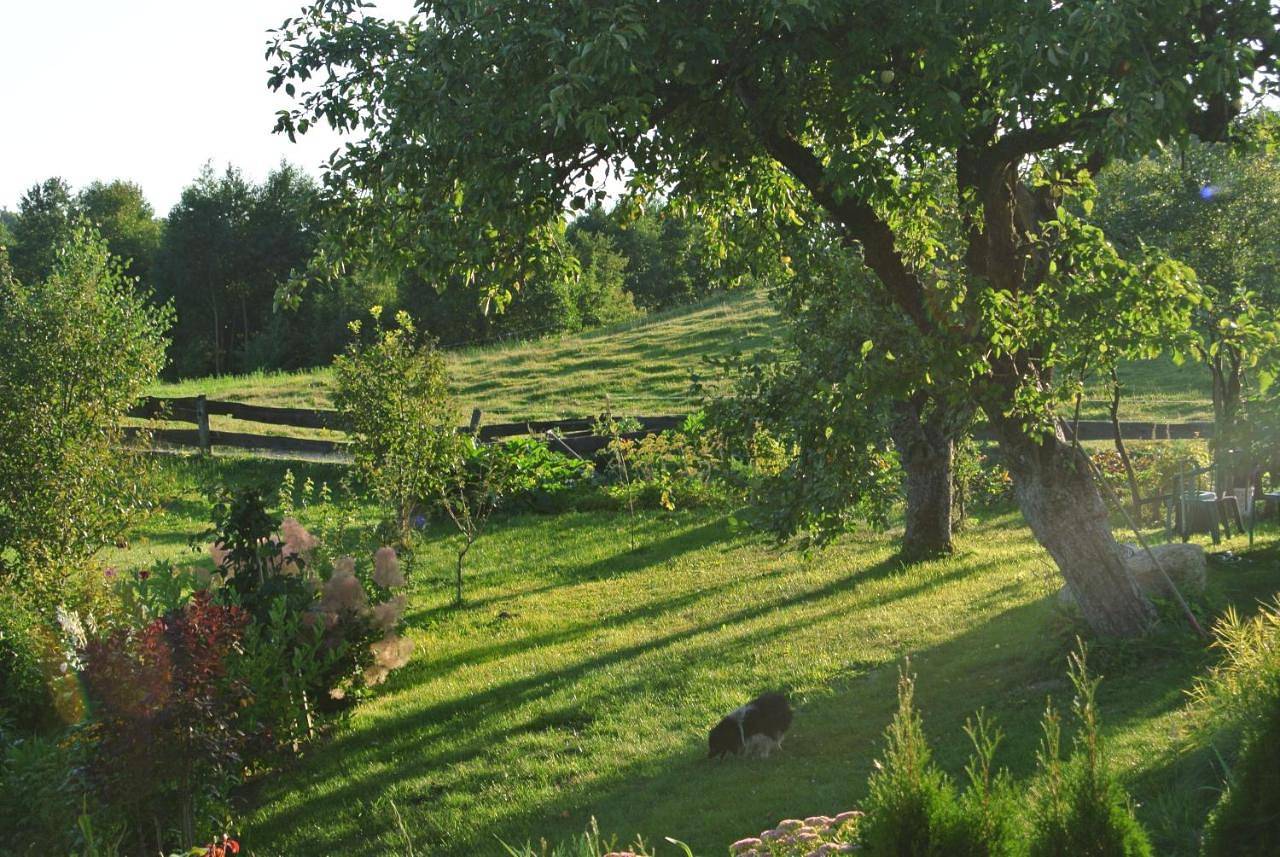 Double Room with Private Bathroom in Powiat mrągowski