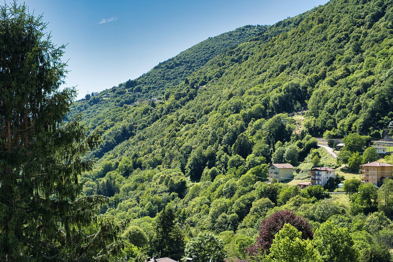 Ganze Wohnung, Pian delle Betulle Alpine Loft in Casargo, Orobie Alpen West