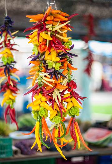Ferienhaus in Sa Pobla, Mallorca Norden für 8 