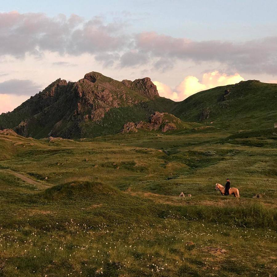 Flo Lofoten nature escape in Vestvågøy