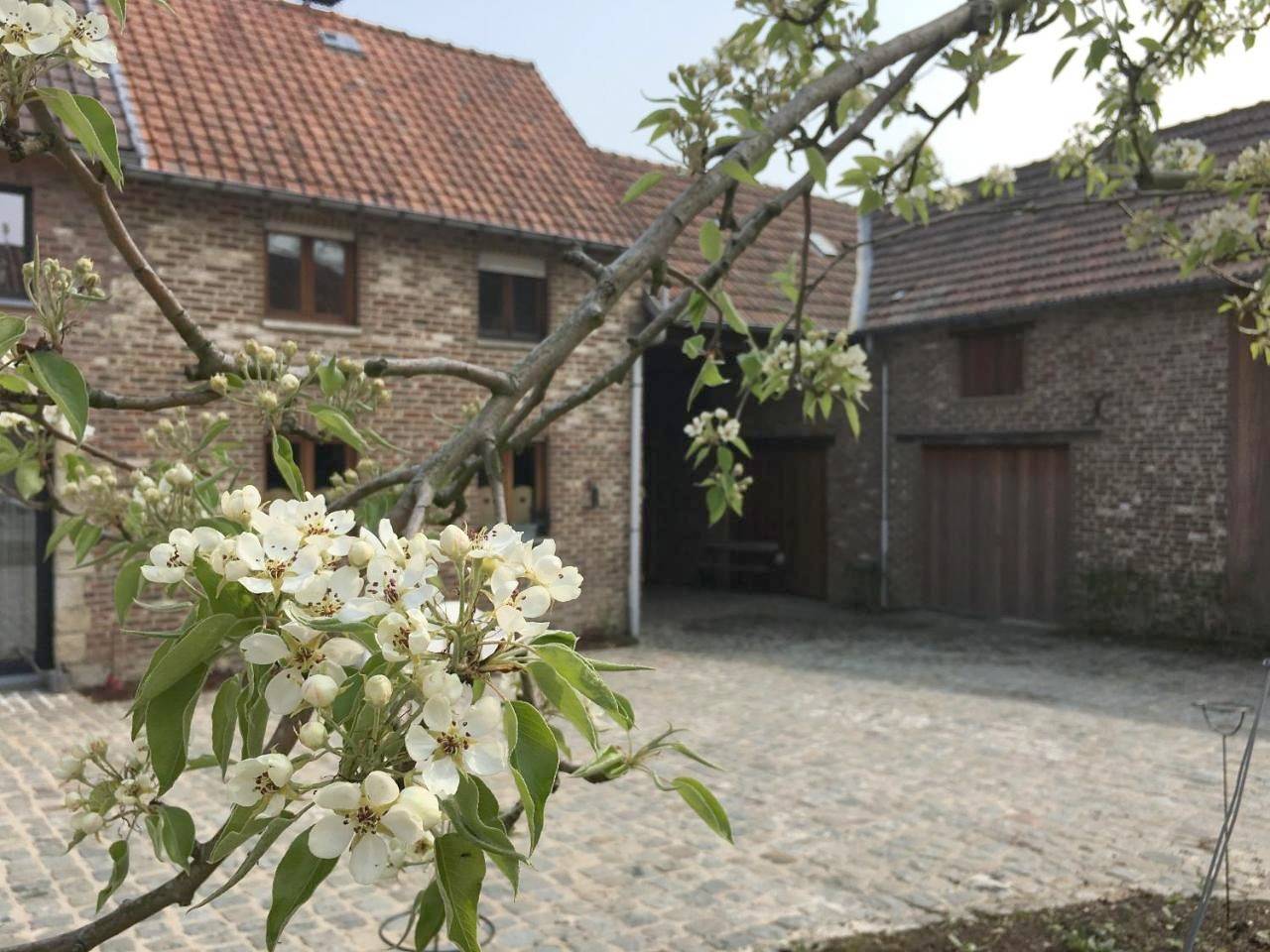 Constantinus in Herzele, Province de Flandre-Orientale