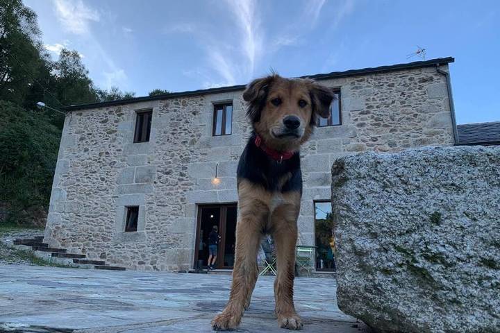 Casa rural para 12 personas, con vistas además de terraza y jardín, Se admiten mascotas en Provincia de Lugo - 3
