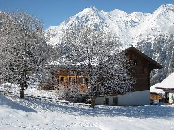 Ganze Ferienwohnung, Chalet Virginia A/B - 7-Bettwohnung 1407 in Grächen, Walliser Alpen