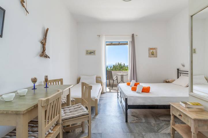 Location de vacances pour 3 personnes, avec balcon et jardin dans Andros - 3
