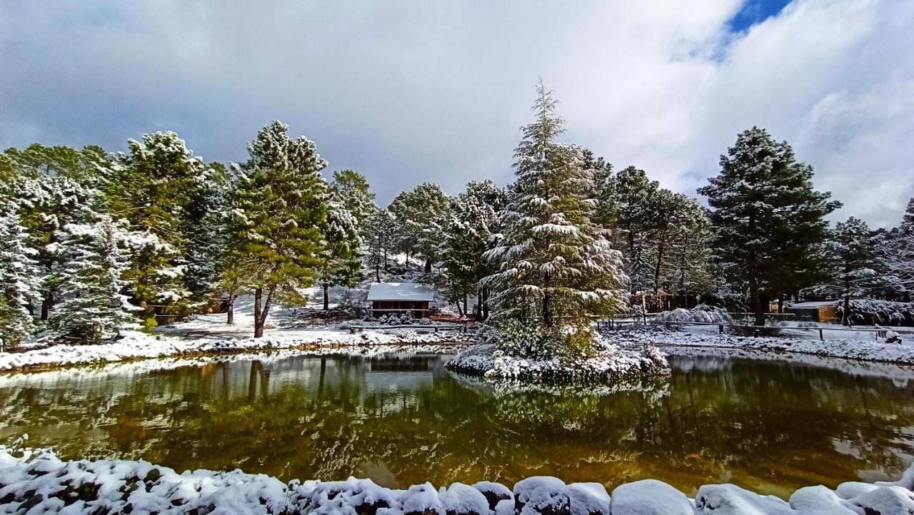La cabaña del lago en Zafiro Lagunazo Parque Natural del Río Mundo in Riopar (rio Mundo), Riópar