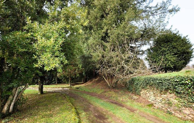 Location de vacances pour 10 personnes, avec piscine dans Saint-Amans-Valtoret - 2