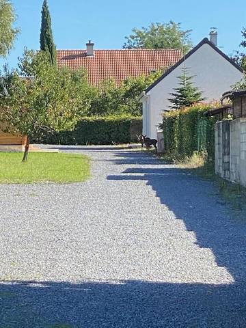 Cottage pour 4 personnes, avec jardin, adapté aux familles à Amilly