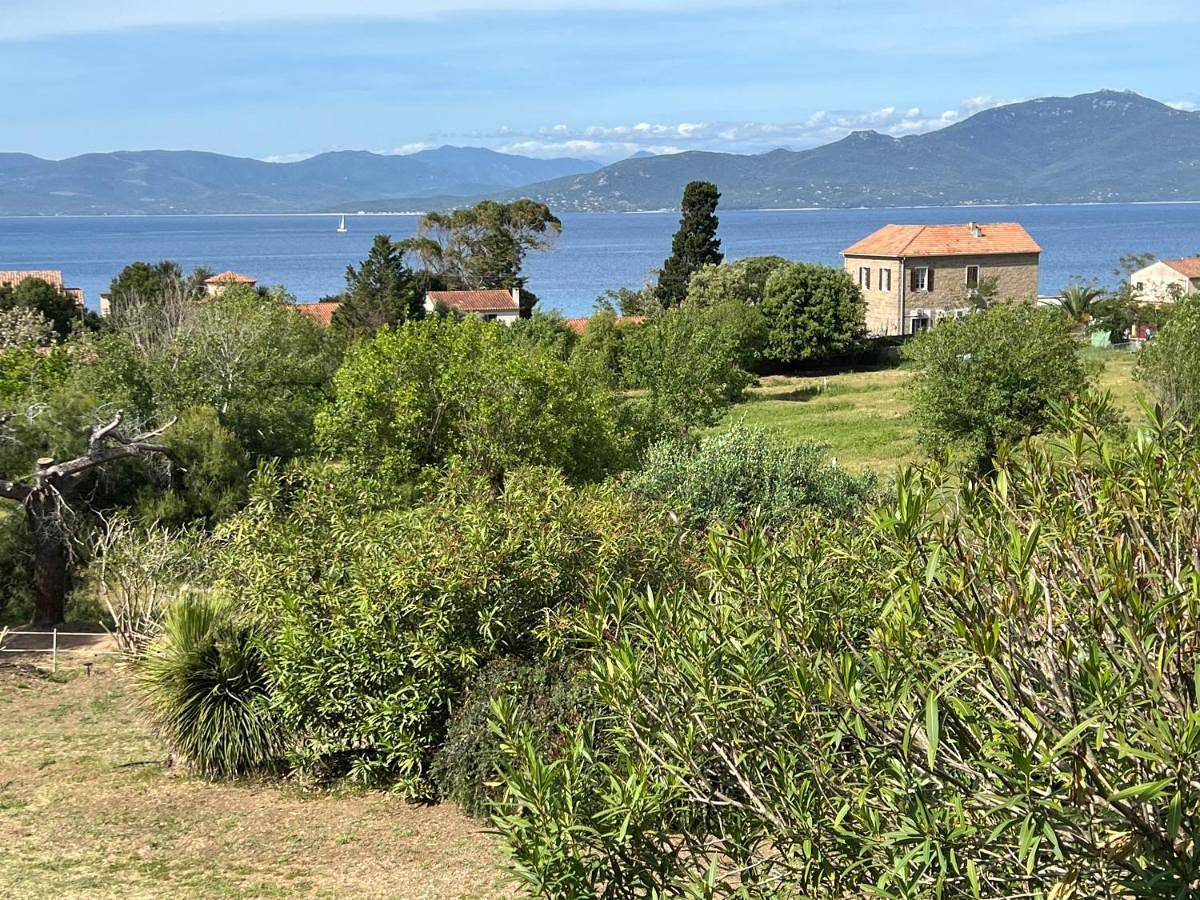 Lavallee4 in Campomoro, Belvédère-Campomoro