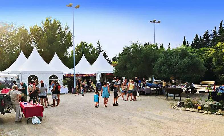Camping pour 5 personnes, avec Terrasse dans le Vaucluse - 4