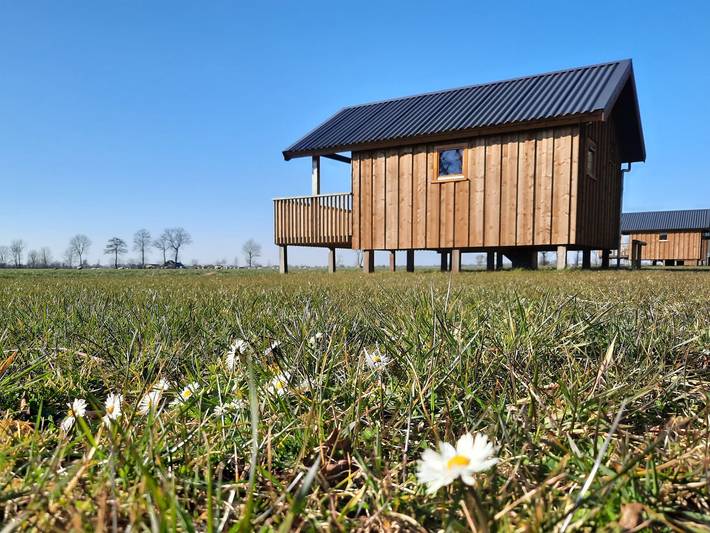 Maison de vacances pour 12 personnes, avec terrasse et vue dans Drenthe