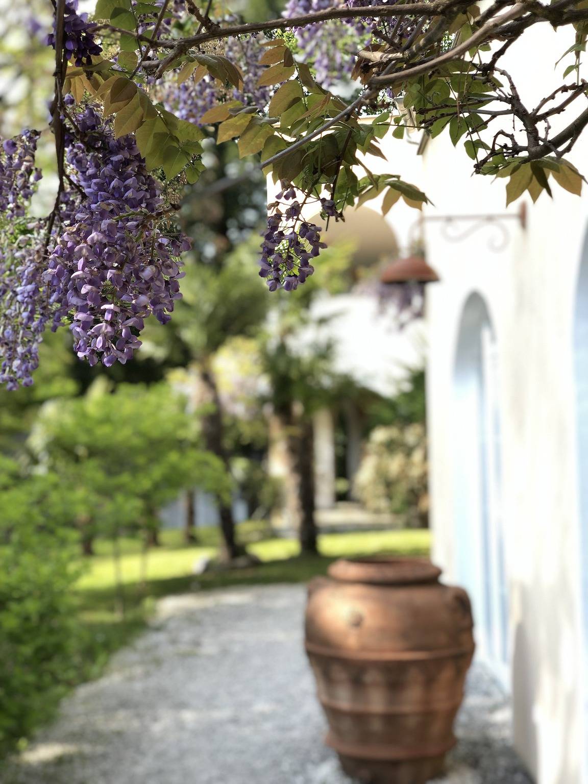 Ganze Ferienwohnung, Park-Villa (Pension am Bodensee) - Ferienwohnung Il Grande, 150 qm, 3 Schlafzimmer, max. 6 Personen in Kressbronn am Bodensee, Region Bodensee-Oberschwaben