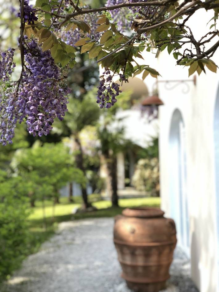 Ganze Ferienwohnung, Park-Villa (Pension am Bodensee) - Ferienwohnung Il Giardino, 110 qm, 2 Schlafzimmer, max. 4 Personen in Kressbronn am Bodensee, Region Bodensee-Oberschwaben