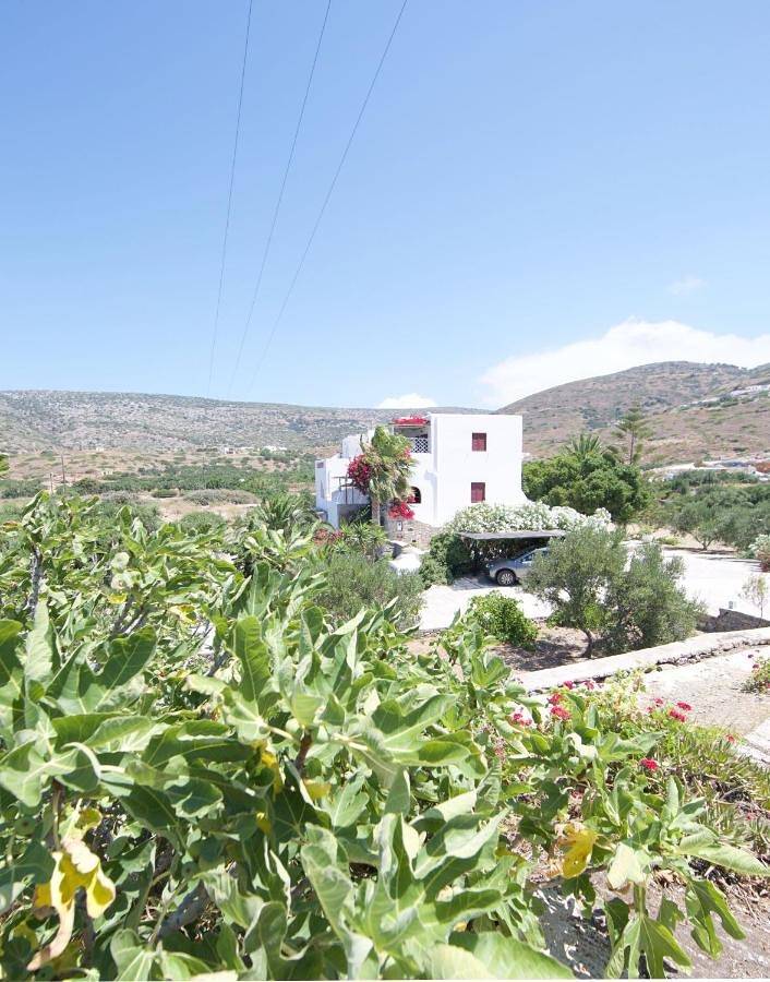Villa Katapoliani No.3 in Rachidi, Amorgos