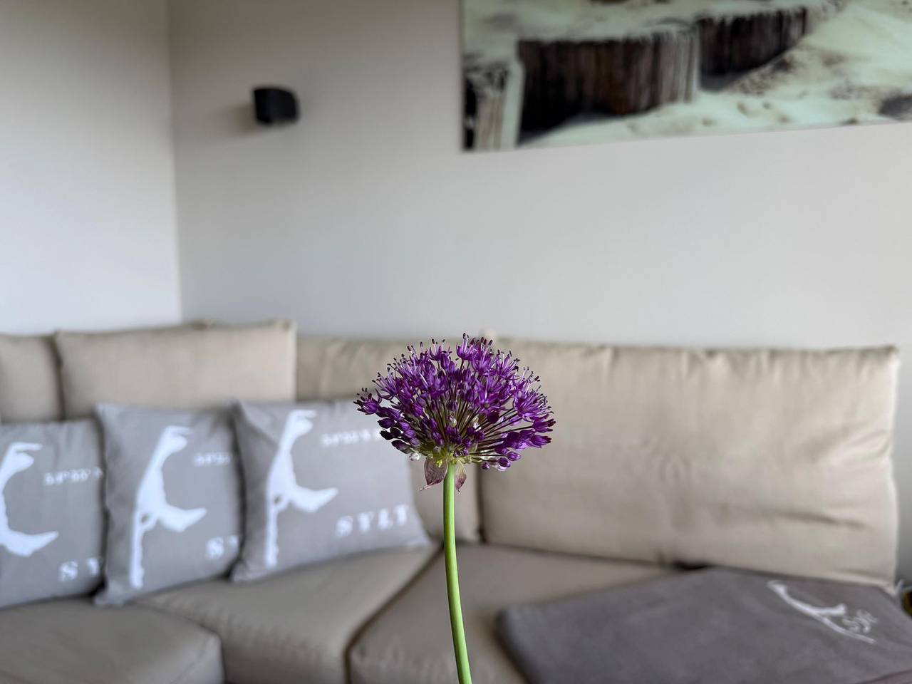 Ganze Wohnung, Strandnah am Meer & unvergessliche Urlaubsmomente in der Düne 16 auf Sylt ! in Westerland, Sylt (Gemeinde)