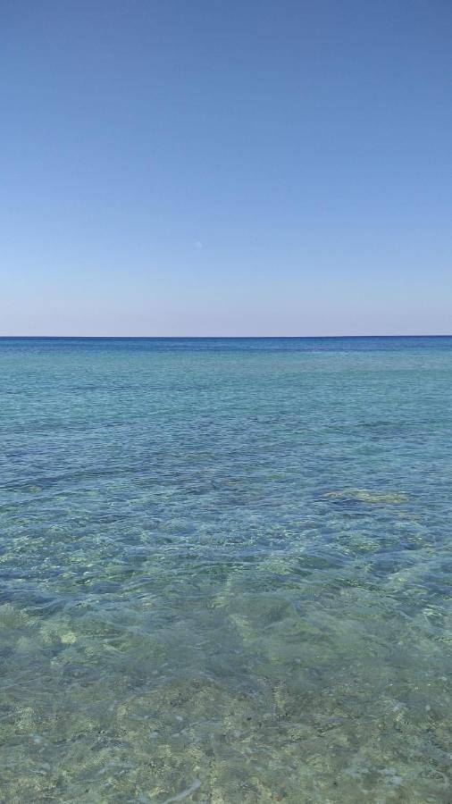 Ferienhaus für 8 Personen, mit Ausblick und Terrasse sowie Garten - 1