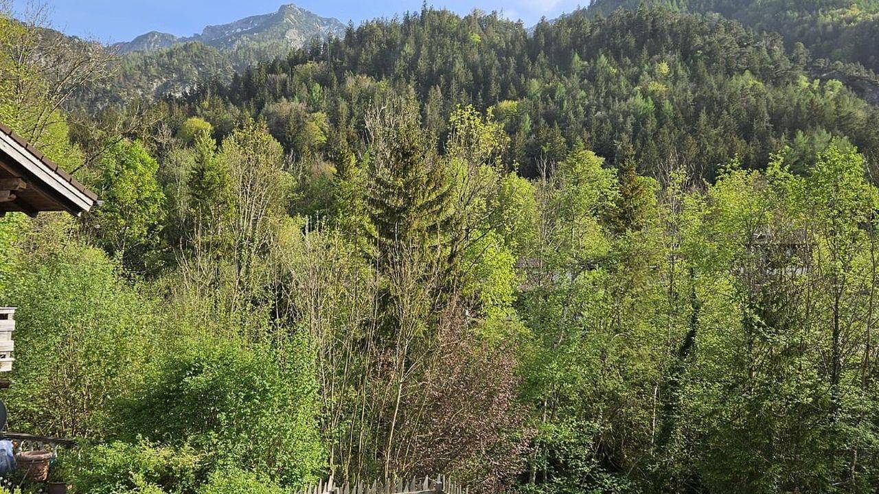 Ganze Ferienwohnung, Ferienwohnung für 4 Personen (54 m²) in Bayerisch Gmain in Bayerisch Gmain, Berchtesgadener Alpen