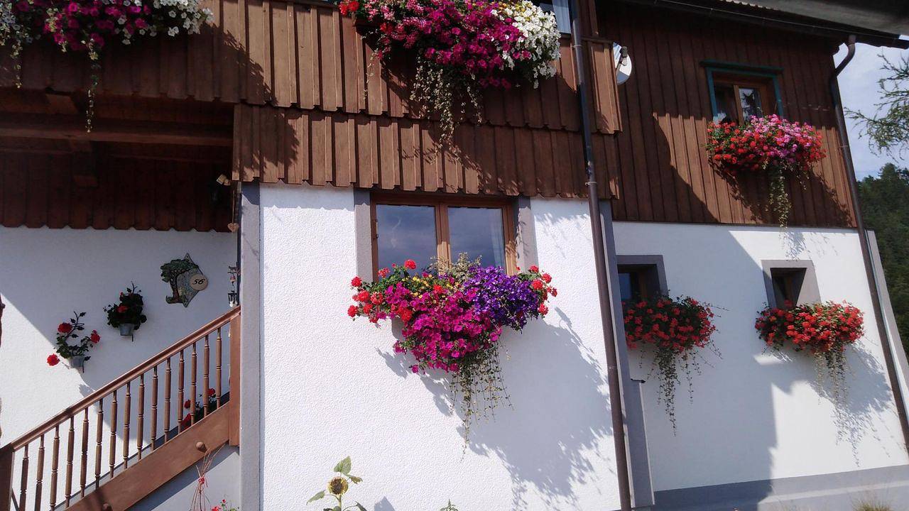 Ganze Ferienwohnung, Ferienwohnung für 5 Personen (60 m²) in Michaelerberg-Pruggern in Pruggern, Schladming-Dachstein