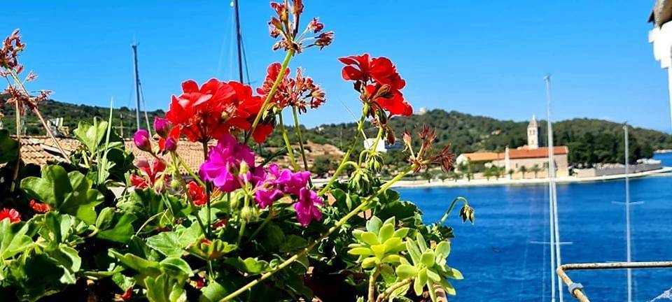 Bed & Breakfast Dionis Vis in Ville de Vis, Vis (Dalmatia)