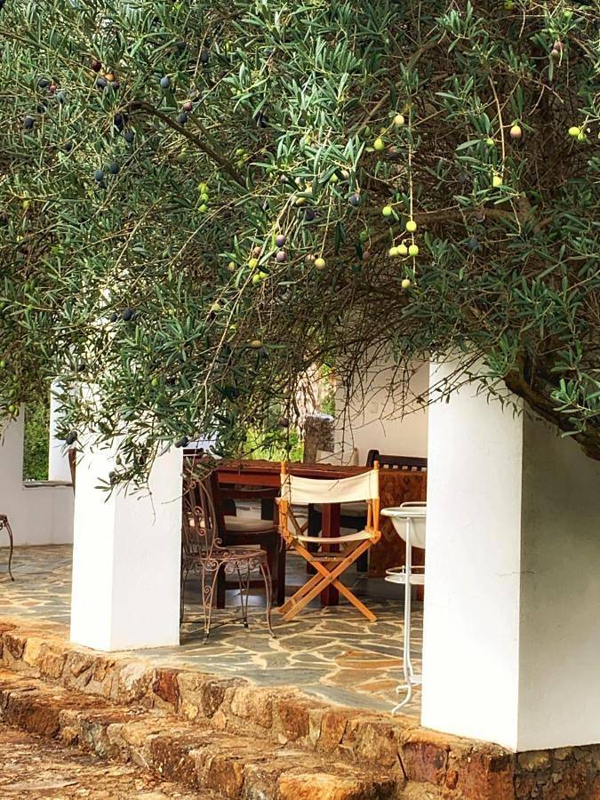 One-Bedroom House in São Brás e São Lourenço, Elvas