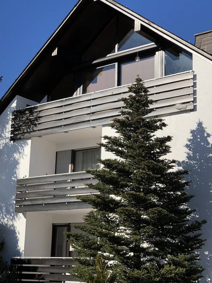 Ferienhaus für 4 Personen, mit Balkon und Balkon/Terrasse in Winterberg - 2