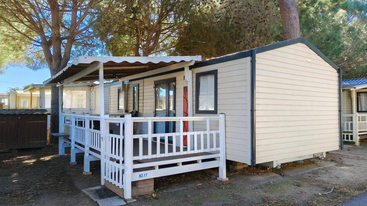 Natitolocation - Mobil Home Premium - Camping Le Bosc 4etoiles - Saint Cyprien in Saint-Cyprien, Côte méditerranéenne (France)